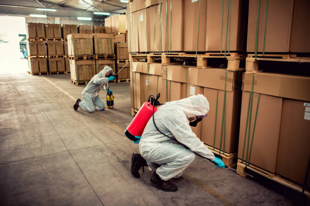 Best Best Pest Control Companies  in Concord, MI