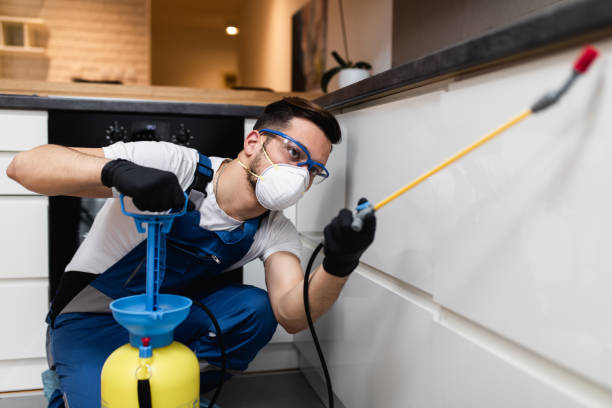 Best Pest Prevention Services  in Concord, MI