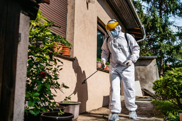Best Pest Removal Services  in Concord, MI