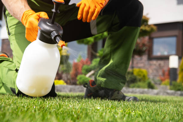 Best Pest Control for Homes  in Concord, MI