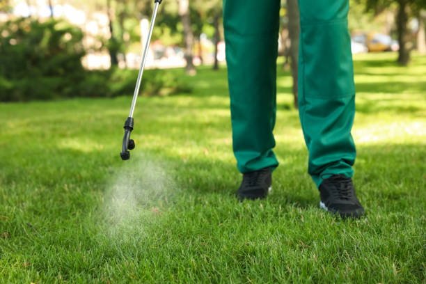 Best Mosquito Control Services  in Concord, MI