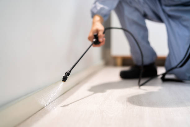 Pest Control Cost in Concord, MI