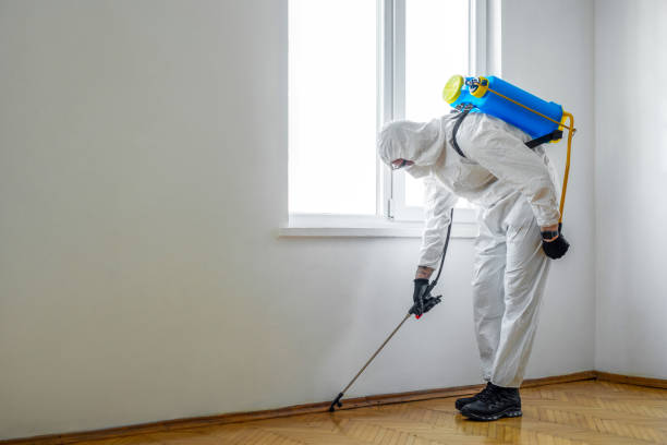 Best Emergency Pest Control  in Concord, MI