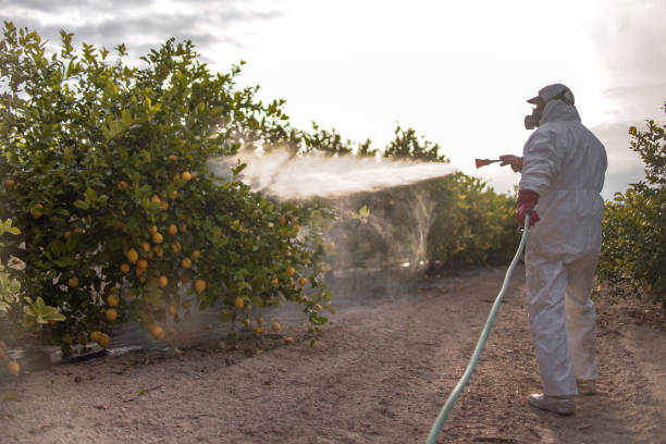 Best Pest Inspection Near Me  in Concord, MI