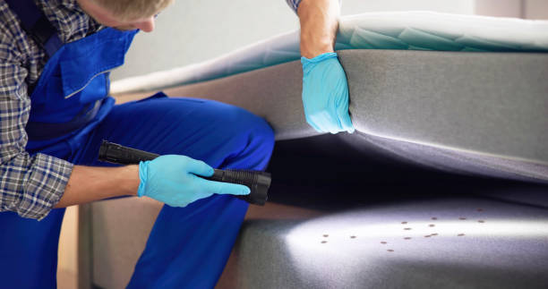 Best Rat Extermination Near Me  in Concord, MI
