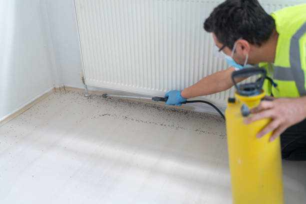 Best Local Pest Control Services  in Concord, MI