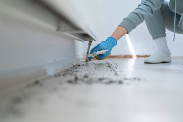 Best Affordable Pest Control Services  in Concord, MI