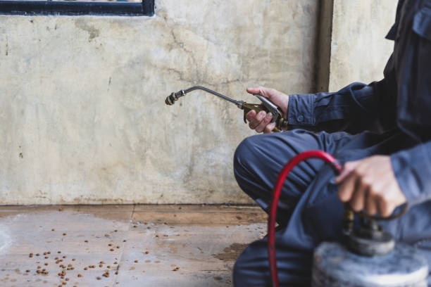Best Best Pest Control Companies  in Concord, MI
