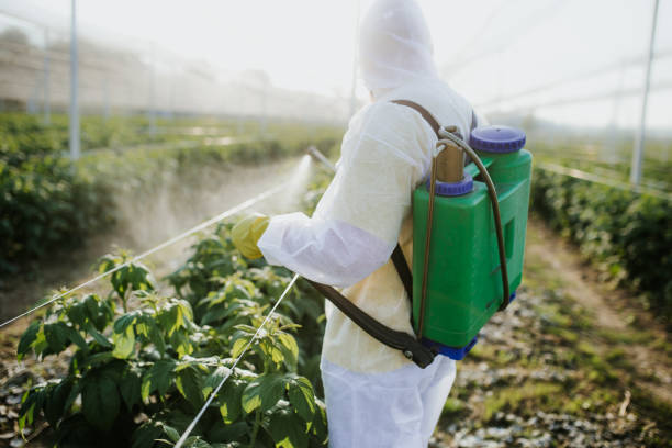 Best Cockroach Control Services  in Concord, MI